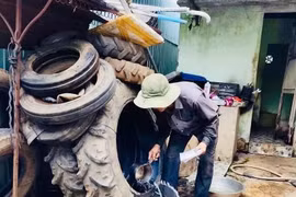 Gia Lai: 11 xã, phường có nguy cơ gia tăng dịch sốt xuất huyết