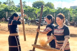 Phục dựng Lễ Mừng lúa mới tại xã Kdang