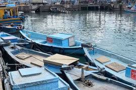 gia-lai-xu-ly-dut-diem-ton-tai-chong-khai-thac-IUU