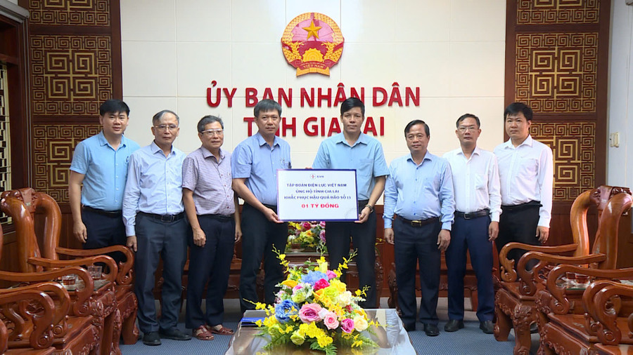 tap-doan-dien-luc-viet-nam-ho-tro-gia-lai-1-ty-dong.jpg