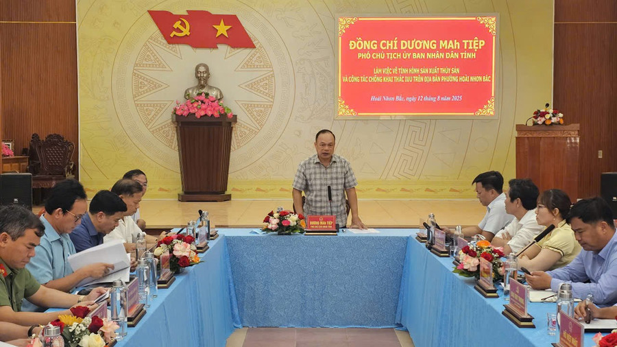 Phó Chủ tịch UBND tỉnh Dương Mah Tiệp phát biểu tại buổi làm việc với phường Hoài Nhơn Bắc. Ảnh: Đức Hải 12-4.jpg