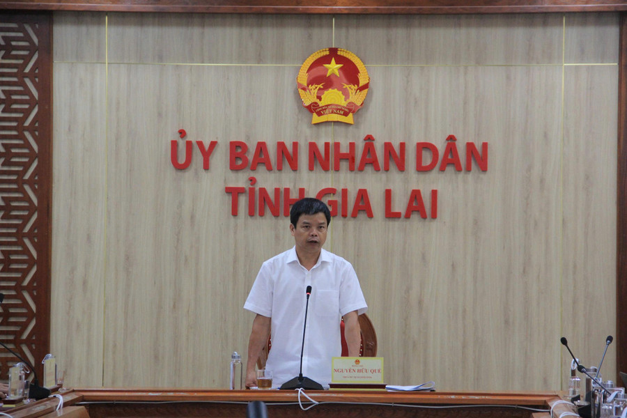 Phó Chủ tịch UBND tỉnh Nguyễn Hữu Quế phát biểu tại buổi làm việc. Ảnh: Đức Hải 45.jpg