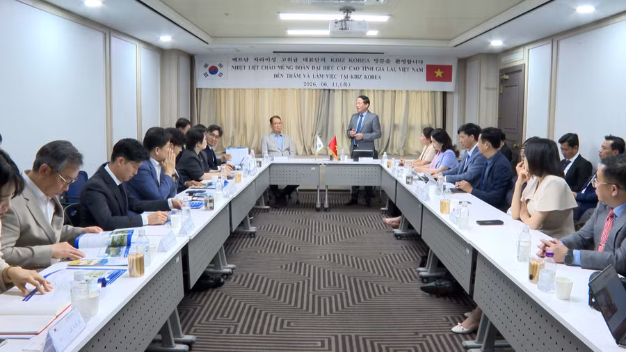 quang-canh-buoi-lam-viec-giua-doan-cong-tac-cua-tinh-gia-lai-voi-hiep-hoi-doanh-nghiep-vua-va-nho-han-quoc.jpg