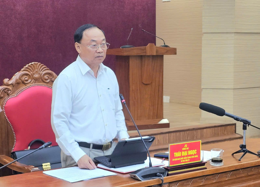 bi-thu-tinh-uy-thai-dai-ngoc-phat-bieu-ket-luan-buoi-lam-viec.jpg