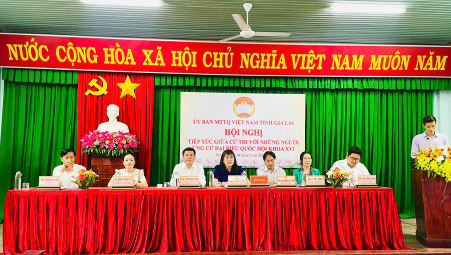 cac-ung-cu-vien-dai-bieu-quoc-hoi-don-vi-bau-cu-so-1-tiep-xuc-cu-tri-diem-xa-binh-phu.jpg