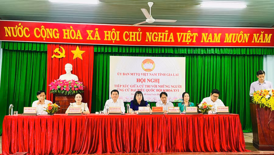 cac-ung-cu-vien-dai-bieu-quoc-hoi-don-vi-bau-cu-so-1-tiep-xuc-cu-tri-diem-xa-binh-phu.jpg