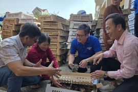 Hỗ trợ người dân xã Tuy Phước Đông tái thiết sau bão lũ