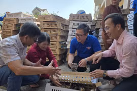 Hỗ trợ người dân xã Tuy Phước Đông tái thiết sau bão lũ