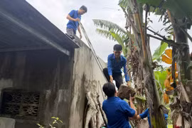 Đoàn Thanh niên xã Tuy Phước phối hợp cùng Chi đoàn thôn Phổ Trạch giúp người dân gia cố nhà cửa.