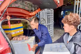 Người dân Gia Lai hướng về vùng lũ Điện Biên