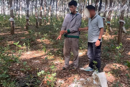 35 giờ phá án bắt đối tượng trộm két sắt, thu giữ hàng trăm triệu đồng