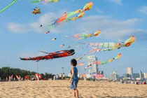 Rực rỡ sắc màu diều nghệ thuật trên biển Quy Nhơn