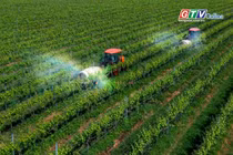 Điểm tin trưa: Gia Lai phấn đấu đưa giá trị ngành nông nghiệp vượt 38.000 tỷ đồng
