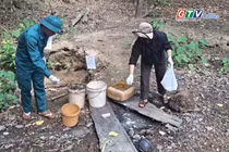 Điểm tin trưa: Gia Lai tăng cường giám sát, phòng chống bệnh Whitmore