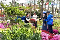 Toàn cảnh Gia Lai 24h: Chợ hoa giáp Tết-Sắc xuân vẫn rực, sức mua trầm hơn
