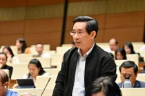 ĐB Nguyễn Văn Cảnh đề xuất bổ sung “gói hàng hóa” vào danh mục nhóm dự trữ quốc gia.