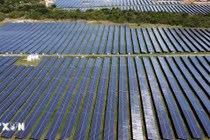 Năng lượng sạch vượt qua nhiên liệu hóa thạch trong cuộc chuyển dịch toàn cầu