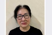 Truy tố cựu Chủ tịch Quốc Cường Gia Lai Nguyễn Thị Như Loan