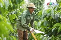 Điểm tin trưa: Nông dân Gia Lai khó mua xăng dầu phục vụ tưới cà phê