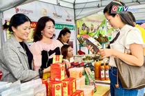 Toàn cảnh Gia Lai 24h: Năm Du lịch quốc gia 2026 mở rộng cơ hội cho sản phẩm địa phương