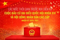 5 mốc thời gian quan trọng cử tri cần nhớ trước ngày 15/3