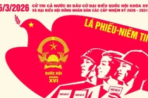 Quy trình bỏ phiếu đúng luật 