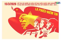 3 điều cử tri cần nhớ khi tham gia bầu cử