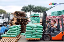 Điểm tin trưa: Gia Lai có 2 doanh nghiệp trong top xuất khẩu cà phê hàng đầu