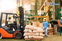 Toàn cảnh Gia Lai 24h: 6 doanh nghiệp Gia Lai được chọn tham gia Chương trình 1.000 doanh nghiệp tiên phong