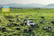 Điểm tin trưa: Gia Lai tháo “nút thắt” cho các dự án nông nghiệp, chăn nuôi quy mô lớn