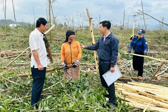 Tiếp sức cho người dân tái thiết sau bão lũ