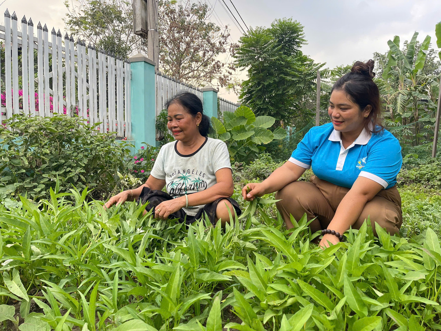 Grâce au modèle « Potager sûr », la famille de Mme H'Krem Buon Yă (village de Broăi, commune d'Ia Broăi) bénéficie d'une source de nourriture sûre et réduit ses dépenses courantes. Photo : Vu Chi z6499726327534-e2b70a628a39b879261709c8fe86edb3.jpg