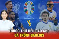 Thuốc thử liều cao cho Gà trống Gaulois