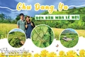 Chư Đang Ya đón đầu mùa lễ hội