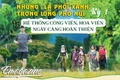 Những “lá phổi xanh” trong lòng Phố núi - Kỳ 1: Hệ thống công viên, hoa viên ngày càng hoàn thiện