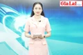 Gia Lai 48h: Gia Lai có 2.650 công dân lên đường nhập ngũ