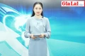 Gia Lai 48h: “Đột kích” ổ xóc đĩa liên tỉnh, bắt giữ 38 đối tượng