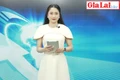 Gia Lai 24h: San ủi trái phép đất rừng để làm đường vào khu sản xuất