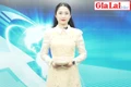 Gia Lai 48h: Cơ quan điều tra yêu cầu định giá 8 thiết bị y tế được mua sắm tại Bệnh viện Đa khoa tỉnh 