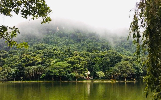 Cây đăng cổ thụ ngàn năm tuổi nằm sâu trong rừng già Cúc Phương và các bạn nhỏ trong hành trình khám phá