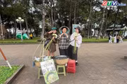 Hương mùa thu Hà Nội giữa lòng phố núi