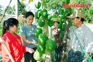 Chú trọng đào tạo nghề cho lao động nông thôn