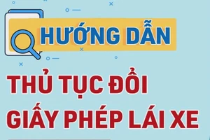 Triển khai dịch vụ công trực tuyến mức độ 4 về đổi giấy phép lái xe