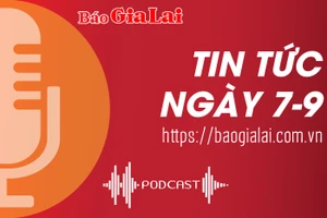 Tin tức sáng 7-9: Kiểm tra đột xuất an toàn thực phẩm dịp Tết Trung thu