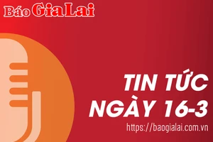 Tin tức sáng 16-3: Hơn 1.000 cây cà phê ở Đak Đoa bị chặt phá