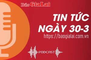 Tin tức sáng 30-3: Cơ hội kinh doanh tín chỉ carbon rừng