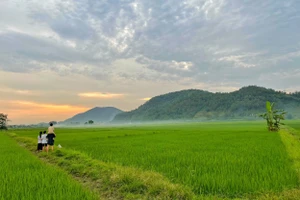 Điểm tựa gia đình