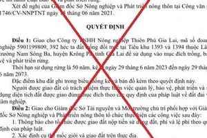 Quyết định giả mạo UBND tỉnh về việc giao đất trồng rừng 