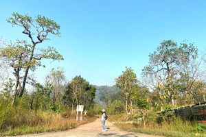 Tháng bảy biên cương