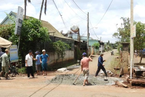 Giáo xứ Lệ Chí thực hiện phương châm “tốt đời, đẹp đạo”